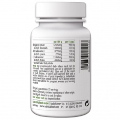 АРТИШОК + БЕРГАМОТ – Raab Vitalfood (100 капс)