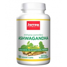 Ashwagandha 300mg. / 120 Caps.