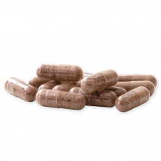 Био Цейлонска КАНЕЛА / Ceylon CINNAMON – Raab Vitalfood (90 капс)