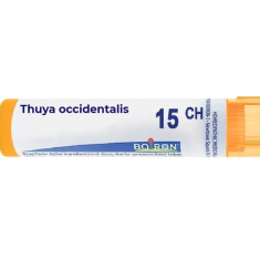 Туя Окциденталис 15 СН - Boiron
