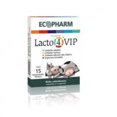 Ecopharm Лакто 4 ВИП Пробиотик за здрава чревна микрофлора и висок имунитет х15 капсули 