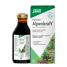 Floradix Alpenkraft Билков еликсир 250 ml
