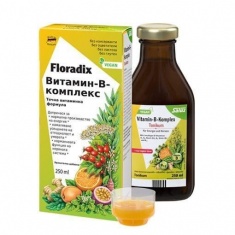 Floradix Витамин B-Комплекс Сироп 250 ml