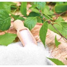 КСИЛИТОЛ – БРЕЗОВА ЗАХАР / BIRCH SUGAR – Raab Vitalfood (300 гр)