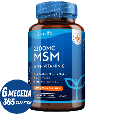 MSM 2200 MG - 365 tabs.