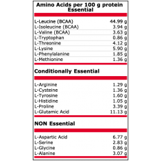 Pure Nutrition - Amino 2000 Мг + Leucine - 300 Tаблетки
