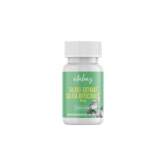 Salbei Extrakt, Sage Leaf - Екстракт от градински чай 600 mg, 100 капсули Vitabay