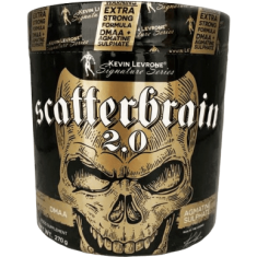 Scatterbrain 2.0 / US Version