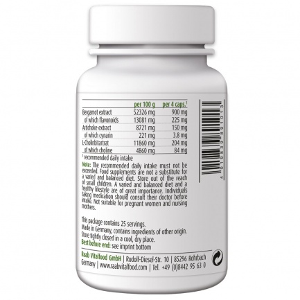 АРТИШОК + БЕРГАМОТ – Raab Vitalfood (100 капс)