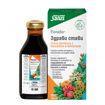 Floradix Грижа за ставите 250 ml