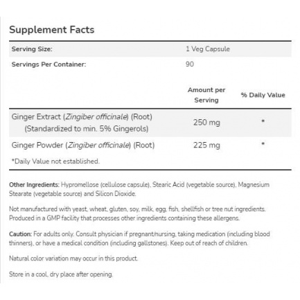 Ginger Root Extract 250 mg