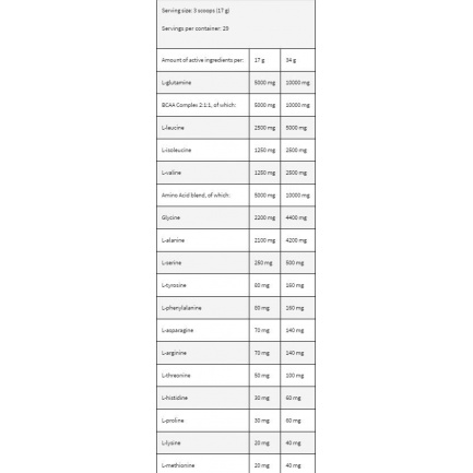 LevroAMINO Surge / 500 gr