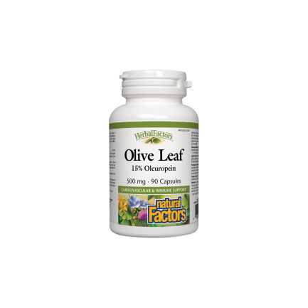Olive Leaf / Маслина (лист) 500 mg х 90 капсули Natural Factors